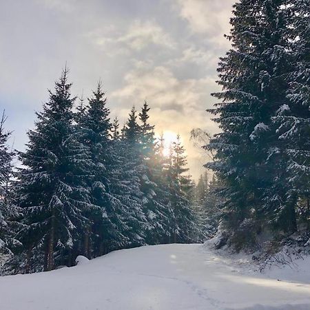 Almland Huette Villa Pusterwald Eksteriør bilde